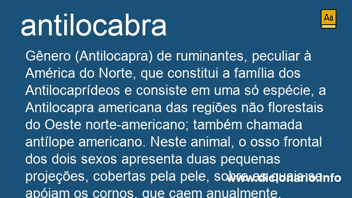 Significado de antilocabra