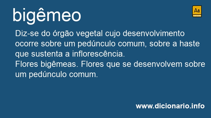 Significado de bigmeo