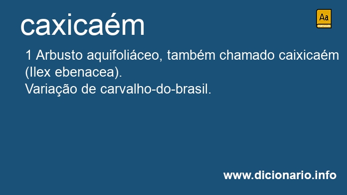 Significado de caxicam