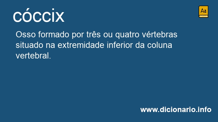 Significado de cccix