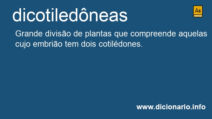 Significado de dicotiledneas