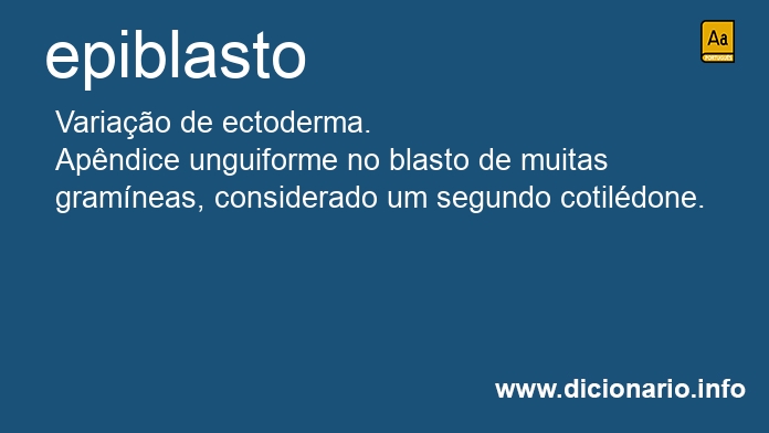 Significado de epiblasto