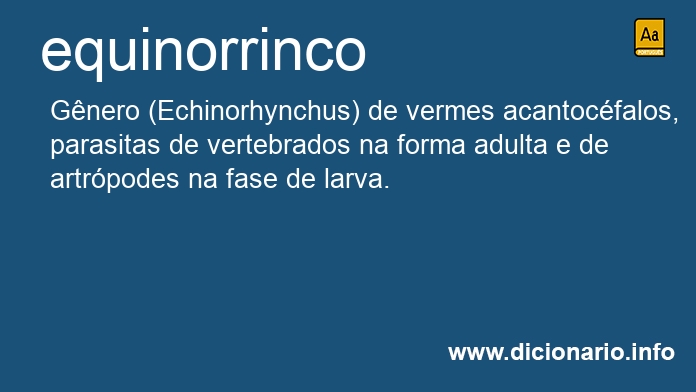 Significado de equinorrinco