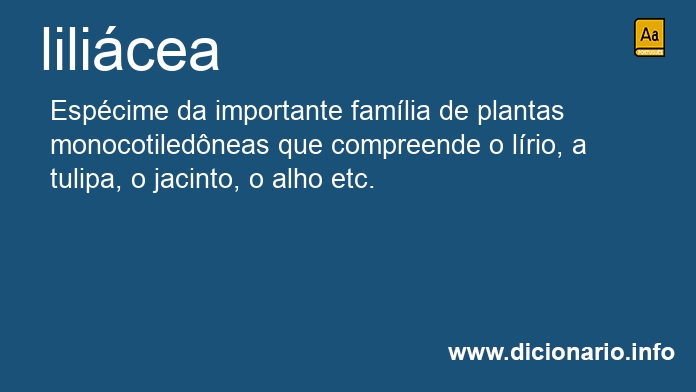 Significado de lilicea