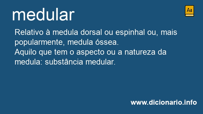 Significado de medule