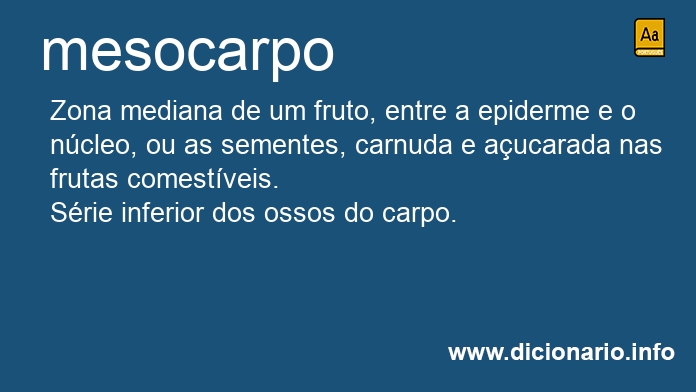 Significado de mesocarpo