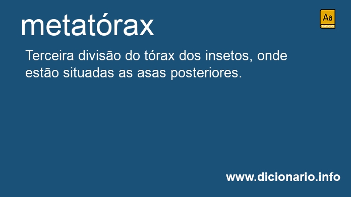 Significado de metatrax