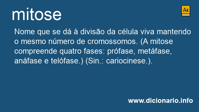 Significado de mitose