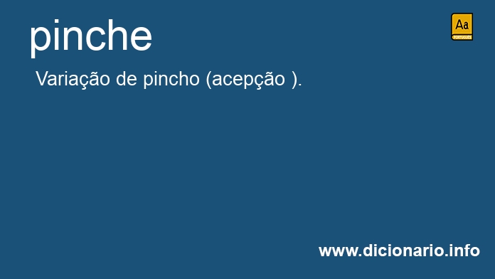 Significado de pinche