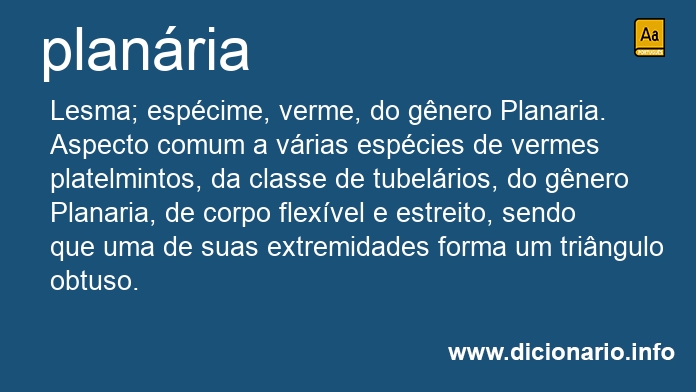 Significado de planria