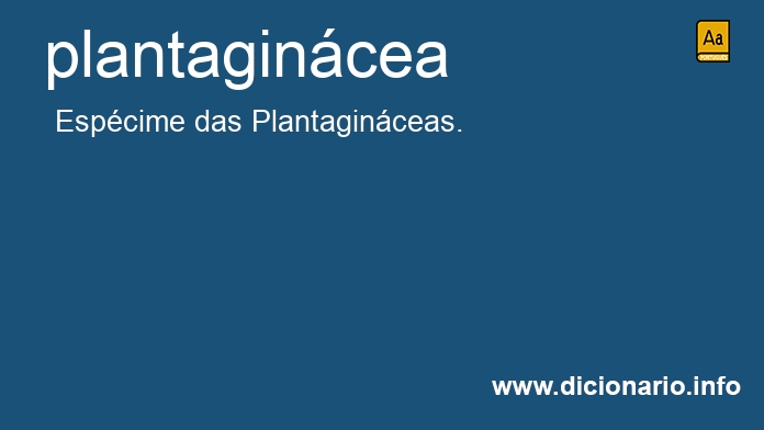 Significado de plantagincea