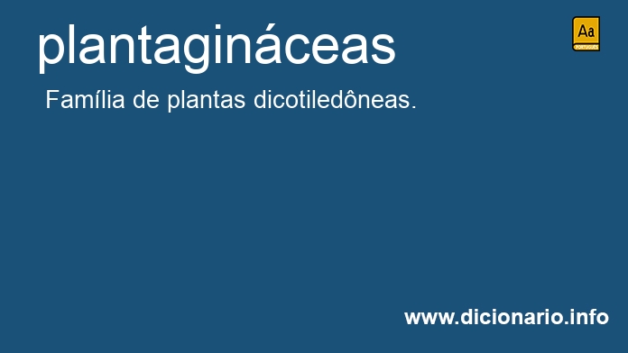 Significado de plantaginceas