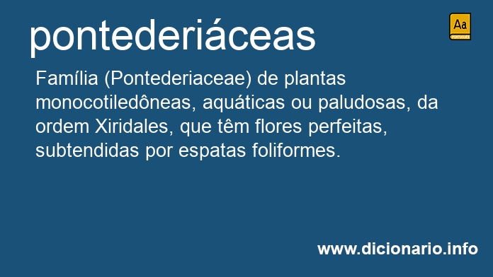 Significado de pontedericeas