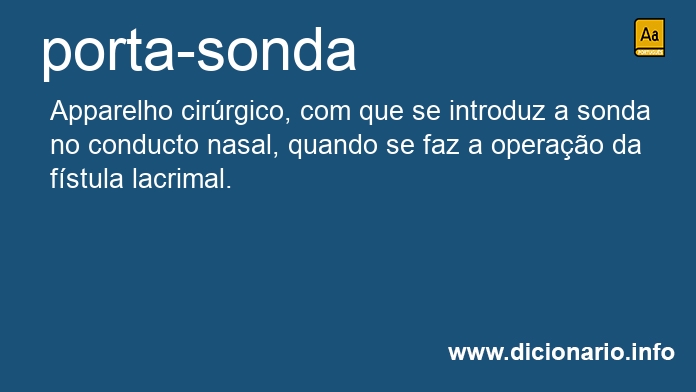 Significado de porta-sonda