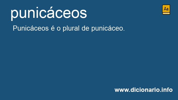 Significado de punicceos