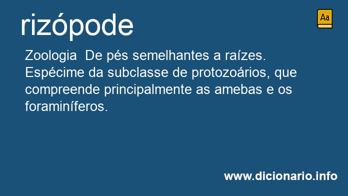 Significado de rizpodes