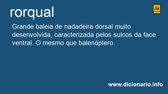 Significado de rorqual