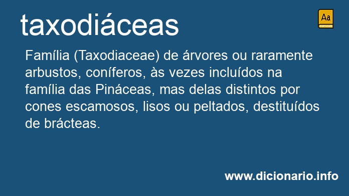 Significado de taxodiceas