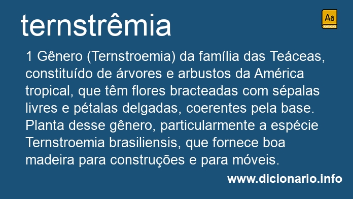 Significado de ternstrmia